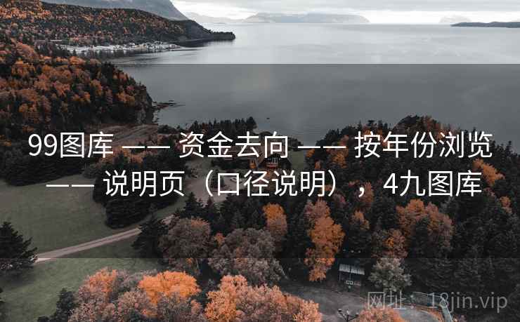 99图库 —— 资金去向 —— 按年份浏览 —— 说明页（口径说明），4九图库